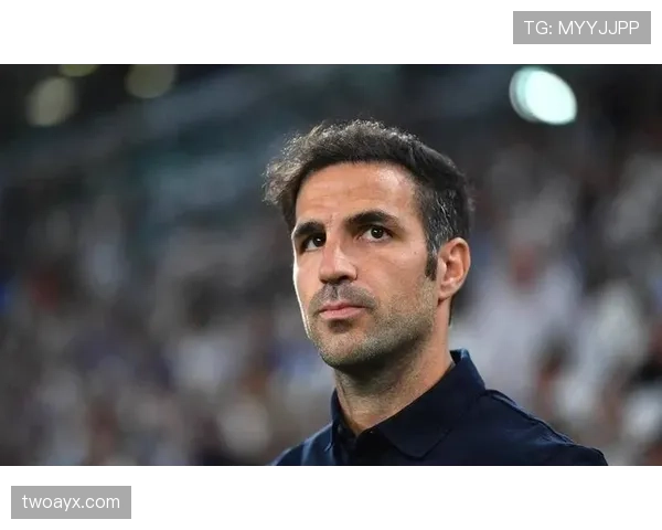 法布雷加斯与哈维的组织核心模式差异：球权集中度与前插接应角色对比