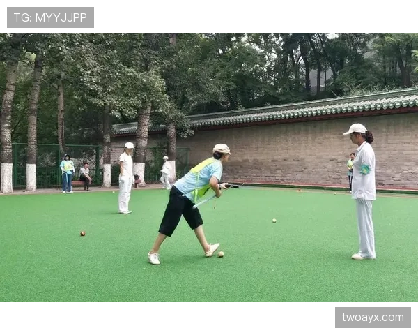 球门球规则详解：合法判罚条件与裁判执行标准