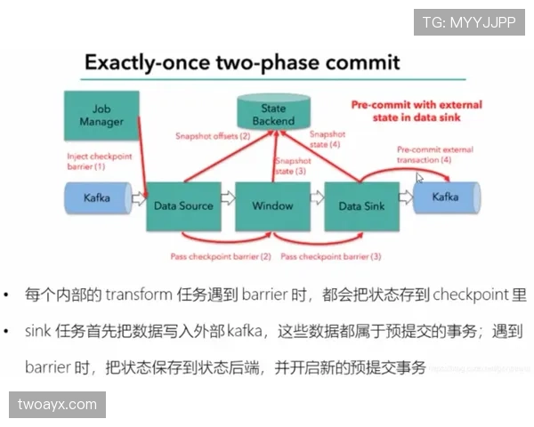 佩德里成长轨迹中的状态持续性机制与上限探析
